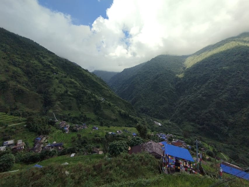 Pokhara: 4-Day Mesmerizing Mardi Himal Guided Trek - Day 2: Forest Camp to High Camp (4000m) for Dense Jungle and Wild Moments