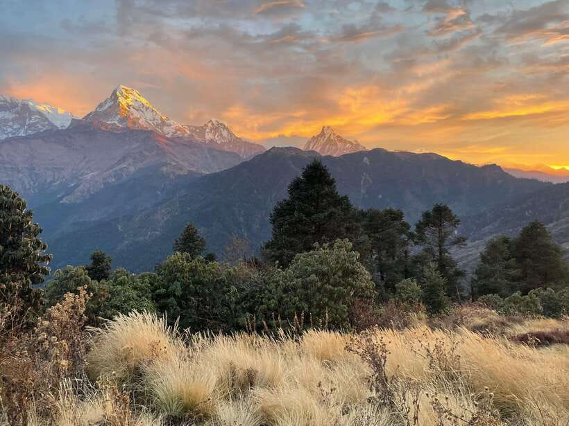 Pokhara: 4-Day Poon Hill and Ghandruk Guided Trek - Day 2: Rhododendron Forest Hikes to Ghorepani Tea House Nights