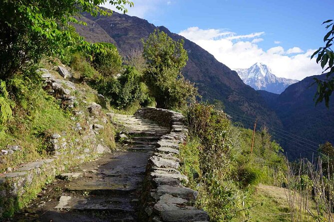 Pokhara: 4 Day Poon Hill Trek - Poon Hill sunrise at 4:30 AM: the whole trip’s payoff