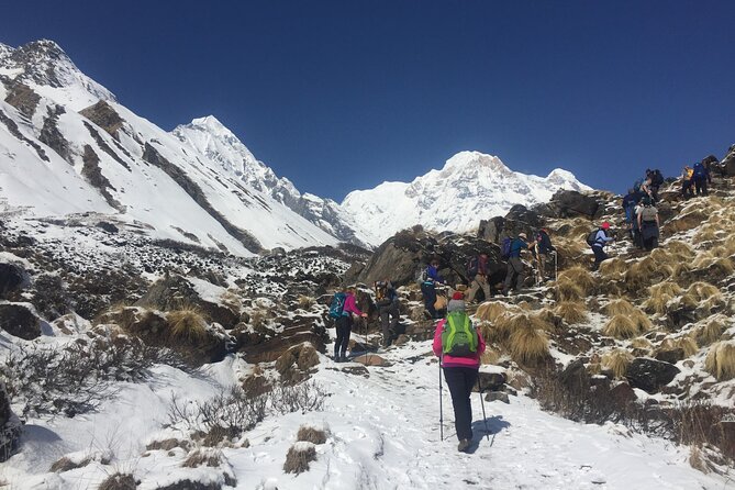 Pokhara: 4 Day Poon Hill Trek - Who this trek is best for (and who might want a different route)