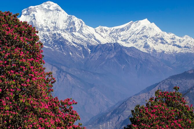 Pokhara: 4 Days Poon Hill and Ghandruk Trek - Price and Value: Is $350 for This 4-Day Trek a Good Deal?