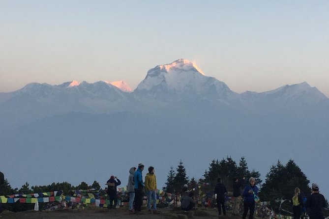 Pokhara: 4 Days Poon Hill - Ghandruk Village Trek - Pokhara to Nayapul: the first move into real mountain walking