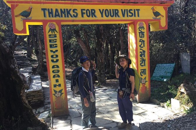 Pokhara: 4 Days Poon Hill - Ghandruk Village Trek - Day 2 Ghorepani to Poon Hill area: rhododendron forests and the Annapurna reveal