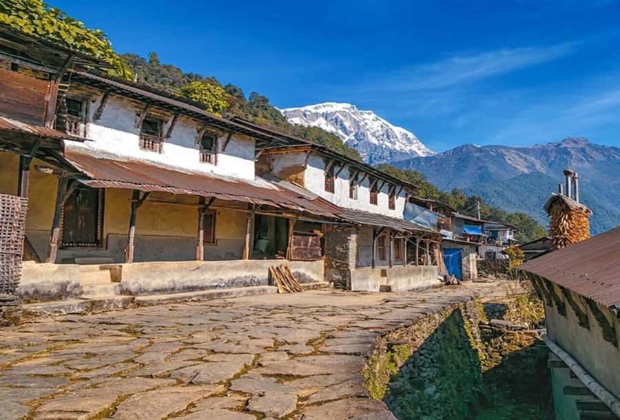 Pokhara: 5 Day Annapurna Base Camp Trek & Natural Hot Spring - Back to Jhinu and Pokhara with hot springs: A satisfying finish