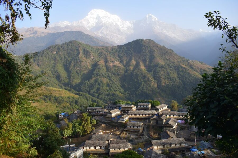 Pokhara: 7 Day Annapurna Base Camp Trek - Back down to Sinuwa (2,249 m): sunrise payoff and altitude relief