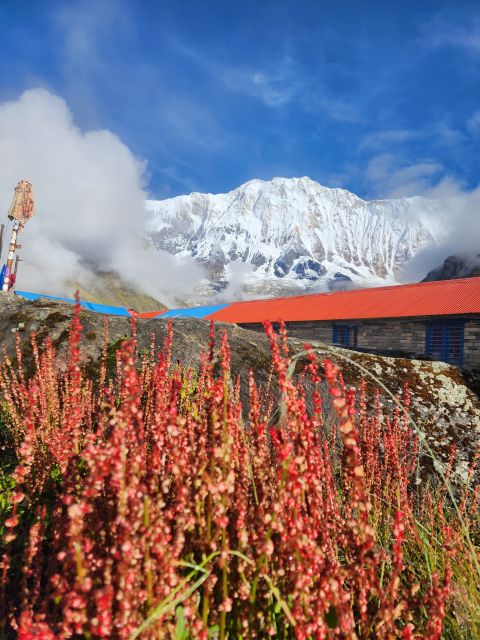 Pokhara: 9-Day Annapurna Base Camp Trek with Poon Hill - Food, tea houses, and the small comforts that keep you sane