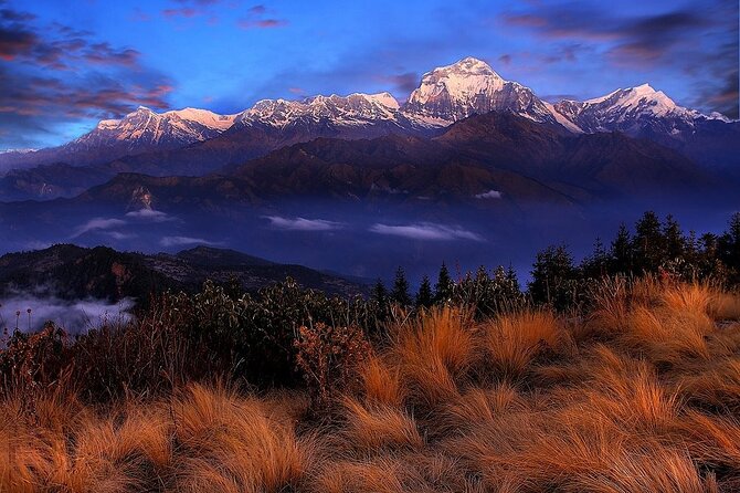 Pokhara: Poon Hill Ghorepani Short Trek - The guide factor: what you gain beyond directions