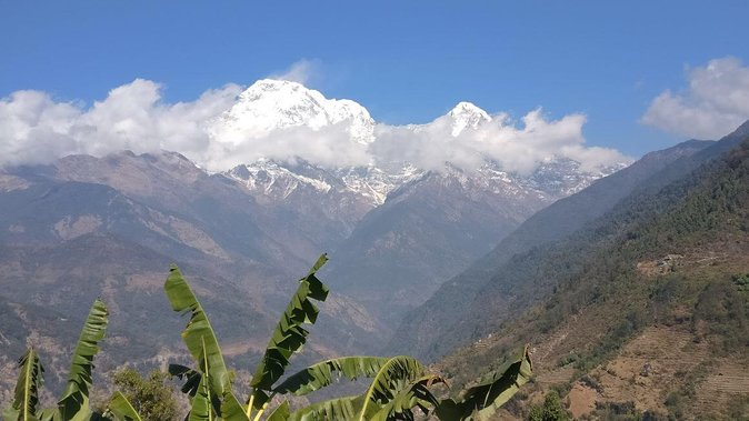 Pokhara: Poon Hill Ghorepani Short Trek - Getting from Pokhara onto the trail: Nayapul, Kimche, and shared rides