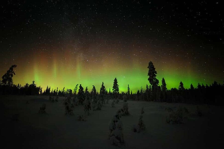 Polar Night Snowshoe Trek - Key points to know before you go