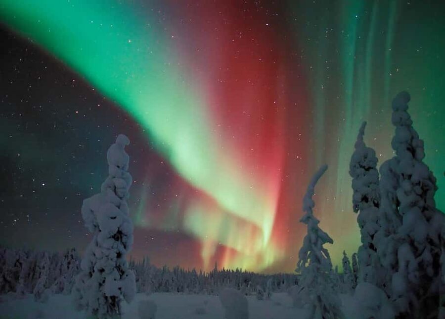 Polar Night Snowshoe Trek - The 3-hour snowshoe trek: pace, pauses, and forest silence