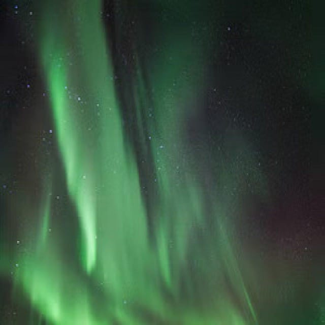 Polar Night Snowshoe Trek - Northern Lights: how the guide sets you up for the best shot