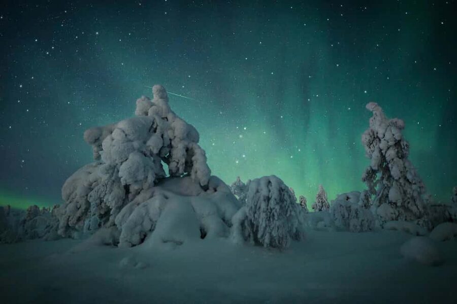Polar Night Snowshoe Trek - Who this trek suits best (and who should think twice)