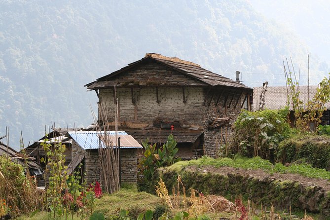 Poon Hill Trek - Ulleri to Ghorepani: forests, rhododendrons, and the build-up to the viewpoint