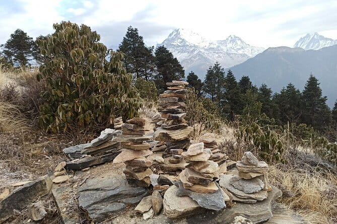 Poon Hill Trek from Pokhara 4 Days - Day 1: Pokhara to Ulleri via Nayapul, and why the first day is never just a warm-up