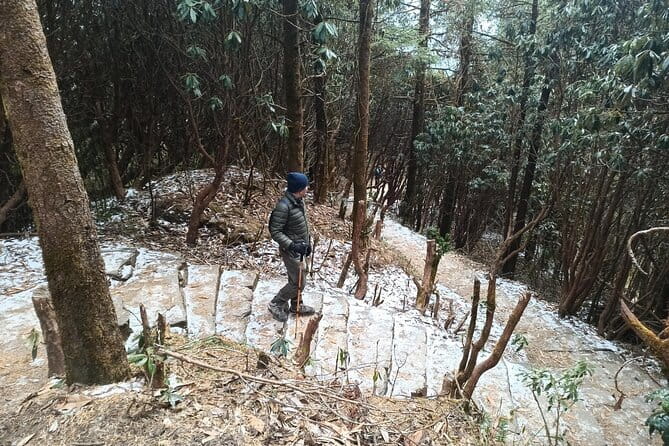 Poon Hill Trek from Pokhara 4 Days - Price and value: is $230 per person fair for 4 days?