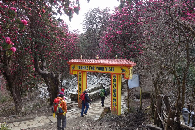 Poonhill Trek - What you’re really buying: a calm pace for a big view