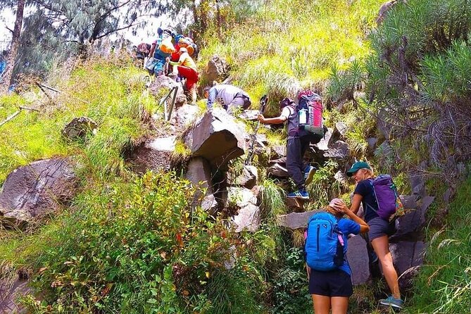 Popular Rinjani Trekking Tour Service To Summit For 2 Days Via Sembalun Trail - Guides, porters, and group size: the service that makes it feel easier