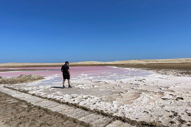 Premium Trekking Golden Shades - Price and value: what $40 buys you in Paracas