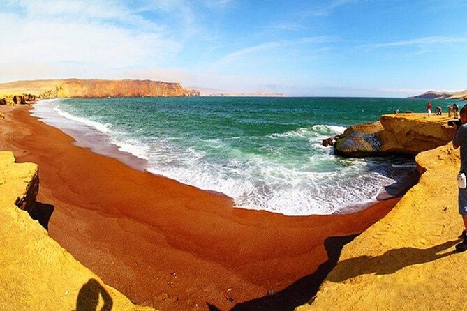 Premium Trekking Golden Shades - Stop 6: Back to Paracas and what to do after