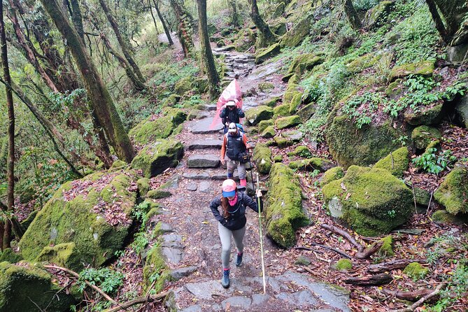 Private 12-Day All Inclusive Guided Annapurna Base Camp Trek Tour - Day 11 and Day 12: Kathmandu Return, Optional Flight, and Your Trip Certificate