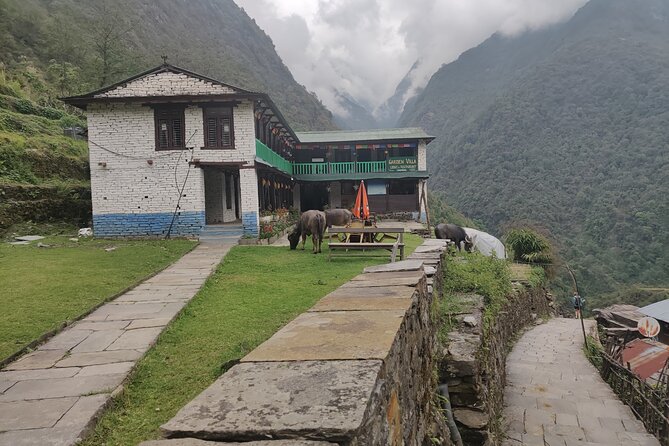 Private 12-Day All Inclusive Guided Annapurna Base Camp Trek Tour - Guides, Community Stops, and the Little Things That Make It Work