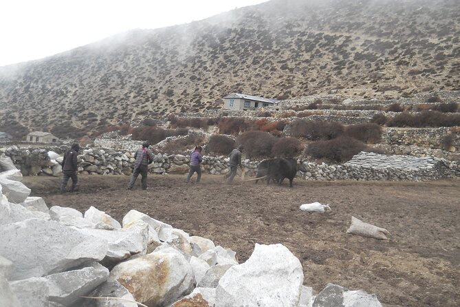 Private 12 - Day Everest Base Camp Trekking - Tengboche (Day 4): Monastery Country and Ama Dablam’s Big Presence