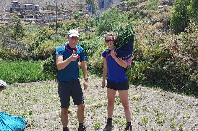 Private 3 Day Colca Canyon Trekking tour (superior Service) - Cruz del Condor to Pallca: the big descent and a calmer afternoon