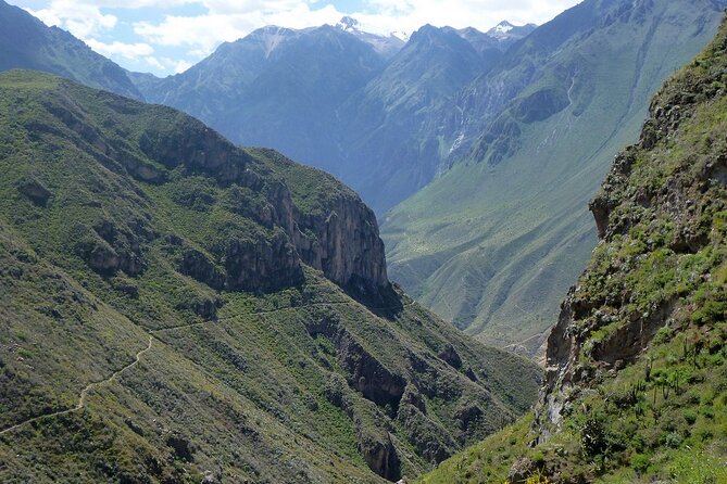 Private 3 Day Colca Canyon Trekking tour (superior Service) - Abra Patapampa and Salinas y Aguada Blanca: volcano views and vicuña country