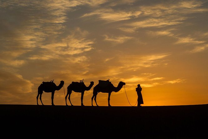 Private 3-days Desert tour from Zagora to Erg chigaga Dunes & Camel trek - Day 2: camel trek out of camp plus dune walking and optional 4x4 moments