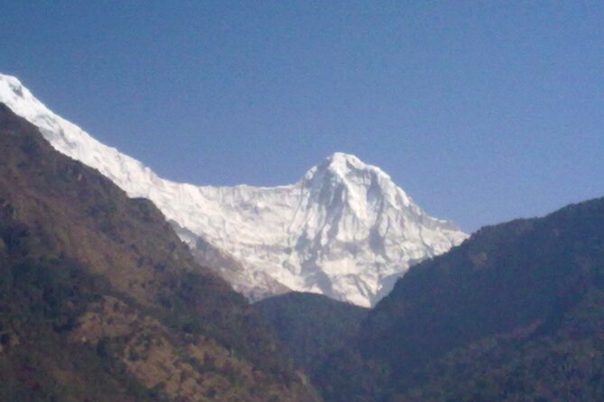 Private 4 - Day Poon Hill Trekking - Day 3: Poon Hill sunrise (and the clouds reality check), then Tadapani