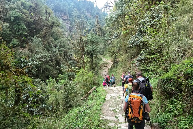 Private 4 - Day Poon Hill Trekking - Price and logistics: what $350 buys you in real trekking terms
