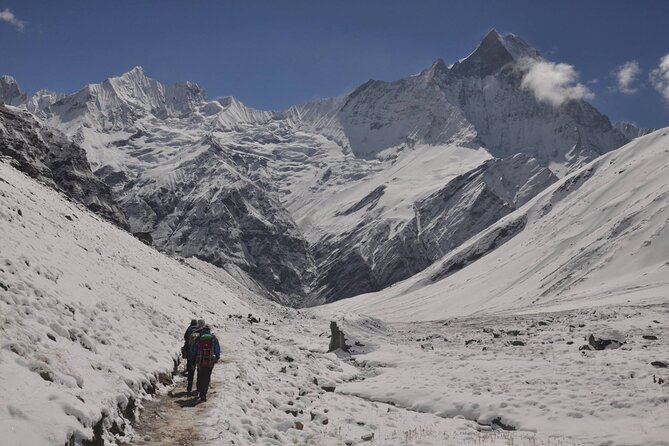 Private 7 - Day Annapurna Base Camp Trekking - Should you book this private Annapurna Base Camp trek?