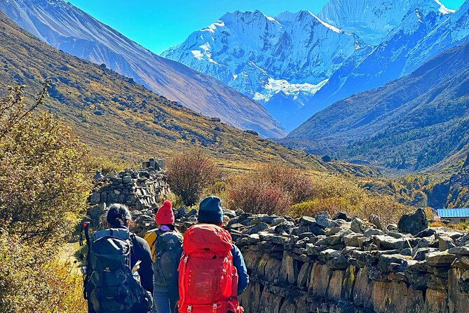 Private 8 - Day Langtang Trekking - Day 5: Kyanjin village and the Kyanjin Ri (4,884m) option