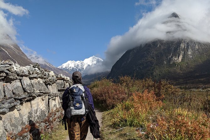 Private 8 - Day Langtang Trekking - Day 6: Retracing your steps—easier walking through rhododendron forests