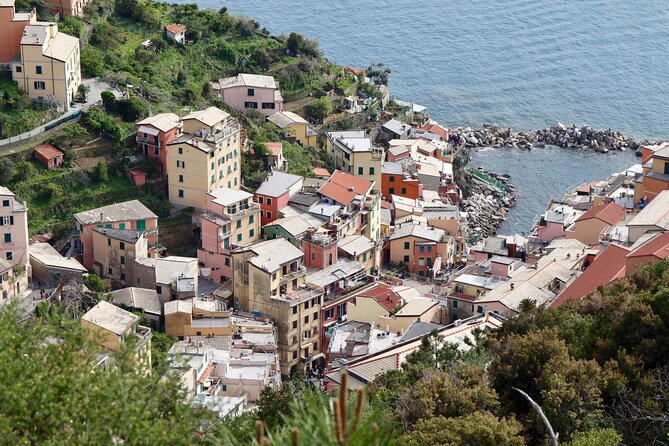 Private Cinque Terre Trek & Tour - Price and value: what $211.64 buys you in the real world