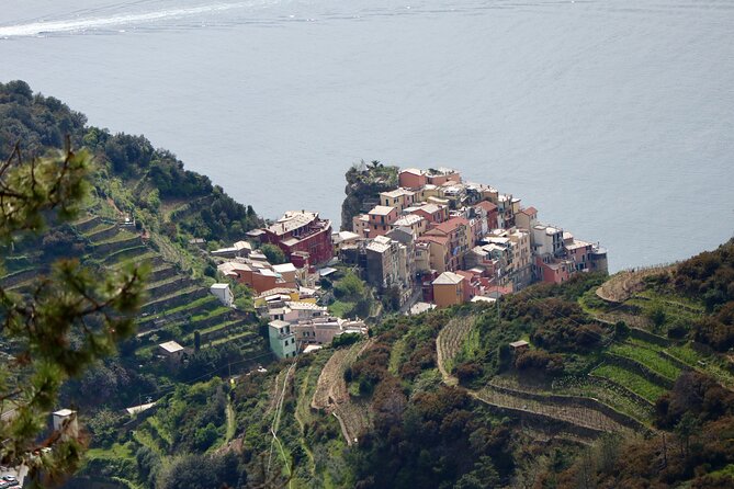 Private Cinque Terre Trek & Tour - FAQ
