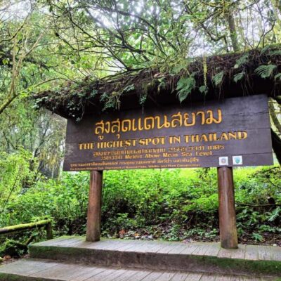 Private Doi Inthanon, Nature Trail, Wat Phra That Doi Kham - The Pha Dok Siew Nature Trail: a guided walk that teaches as you go