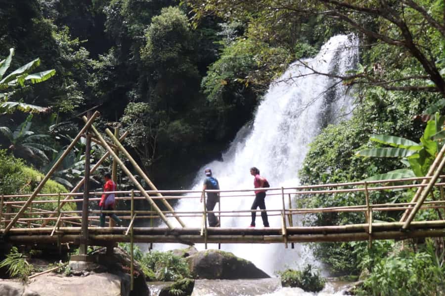 Private Doi Inthanon, Nature Trail, Wat Phra That Doi Kham - King and Queen’s pagodas: gardens, symmetry, and that high-mountain view feeling