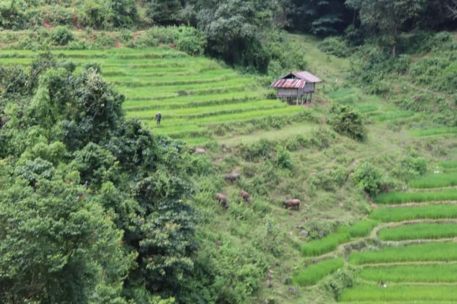 Private Doi Inthanon, Nature Trail, Wat Phra That Doi Kham - Price and value for an $167 private day (what you’re really paying for)