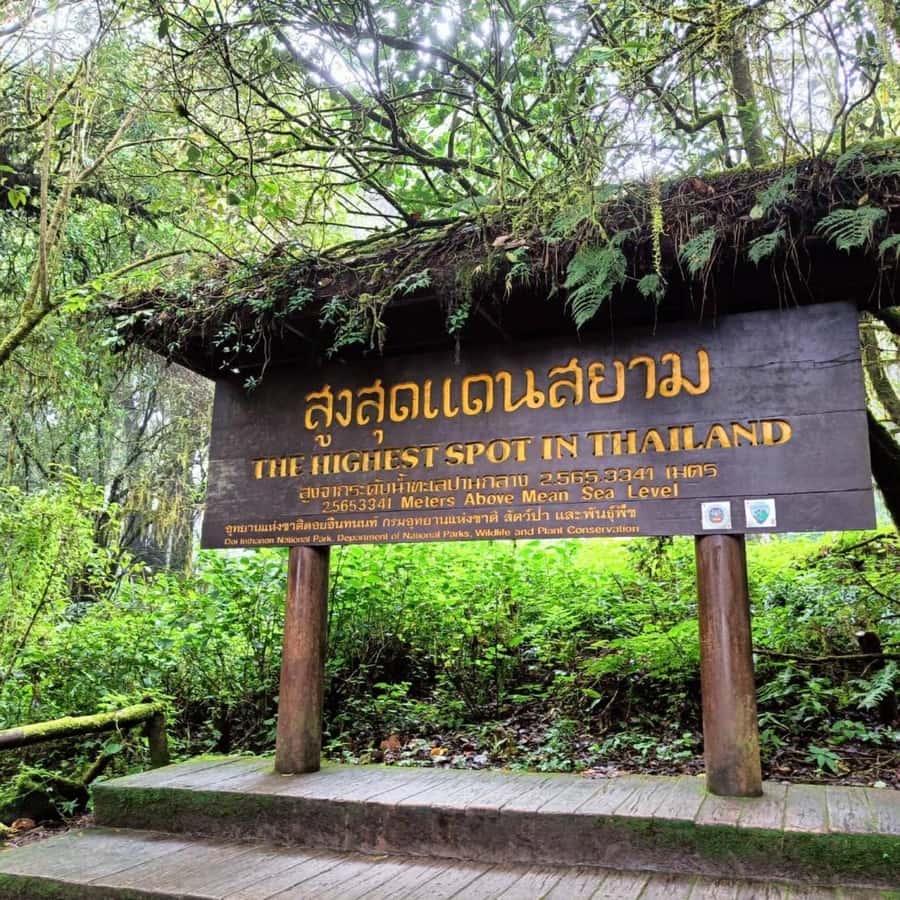 Private Doi Inthanon, Nature Trail, Wat Phra That Doi Kham - The Pha Dok Siew Nature Trail: a guided walk that teaches as you go