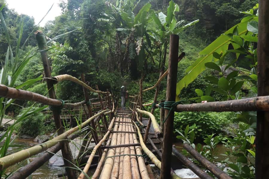 Private Doi Inthanon With Trekking Pha Dok Siew Nature Trail - Ban Mae Klang Luang rice fields and how season changes everything