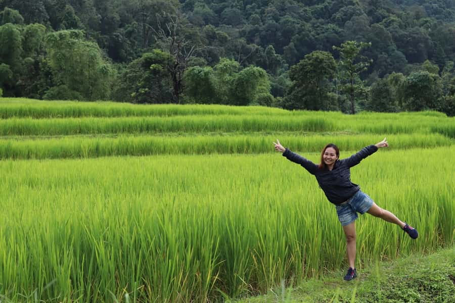 Private Doi Inthanon With Trekking Pha Dok Siew Nature Trail - Wachiratharn Waterfall: a scenic warm-up before the higher points