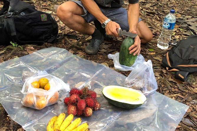 Private Full-Day Bukit Lawang Trekking Tour From Medan - Value for money: what $128.21 covers and why it can add up fast