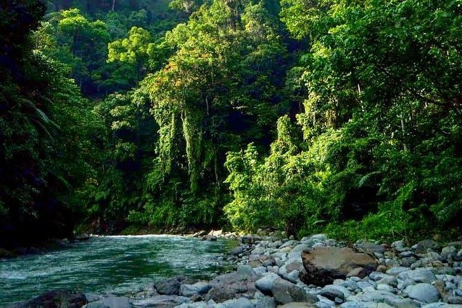 Private Full-Day Bukit Lawang Trekking Tour From Medan - Price isn’t the only risk: how to avoid common day-of problems