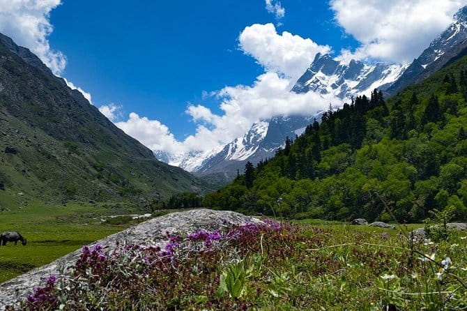 Private Guided Trek to Kunjapuri Temple & Waterfall at Sunrise - Price and Value: Is $40 a Good Deal?