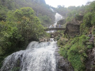 Private Hoang Lien National Park & Tribal Village Trek - O Quy Ho Pass start: the 10km trek through bamboo and rice paddies