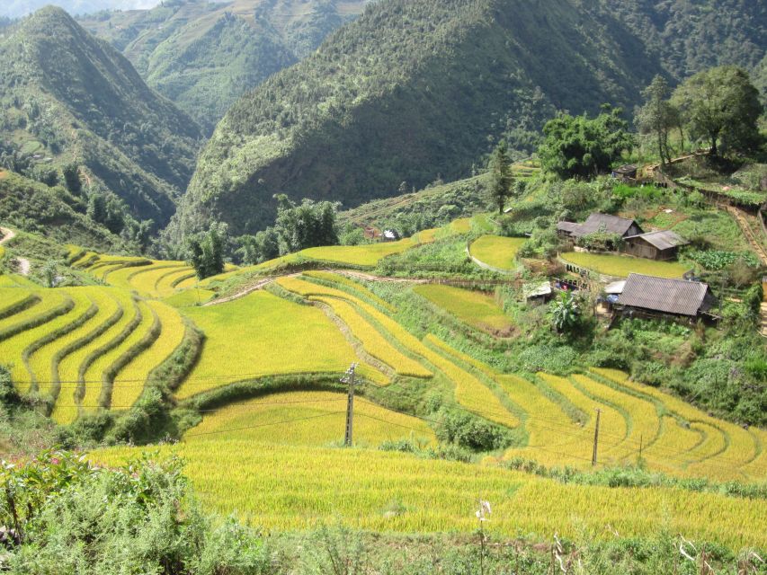 Private Hoang Lien National Park & Tribal Village Trek - Who should book this trek (and who might skip it)
