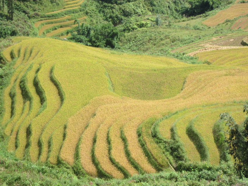 Private Hoang Lien National Park & Tribal Village Trek - Should you book the Private Hoang Lien & Tribal Village Trek?