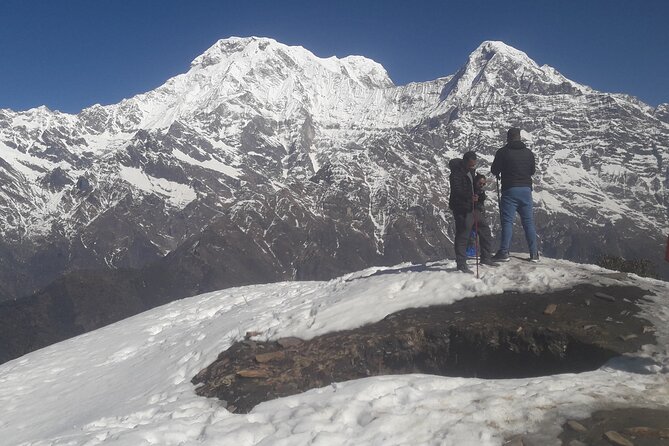Private Mardi Himal Trek - Day 3: Low Camp to High Camp (3700m) for Machhapuchhre Moments