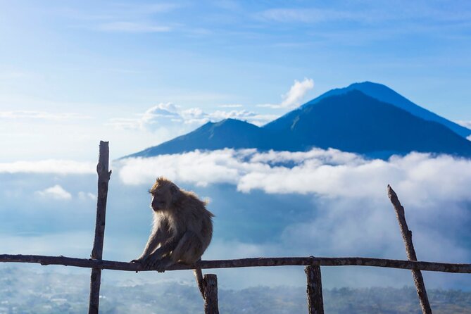 Private Mount Batur Sunrise Trekking Tour - Small-Group, Private Tour Style: Comfort, Not Chaos
